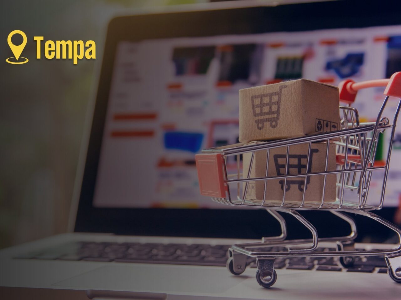 Ecommerce SEO Tampa