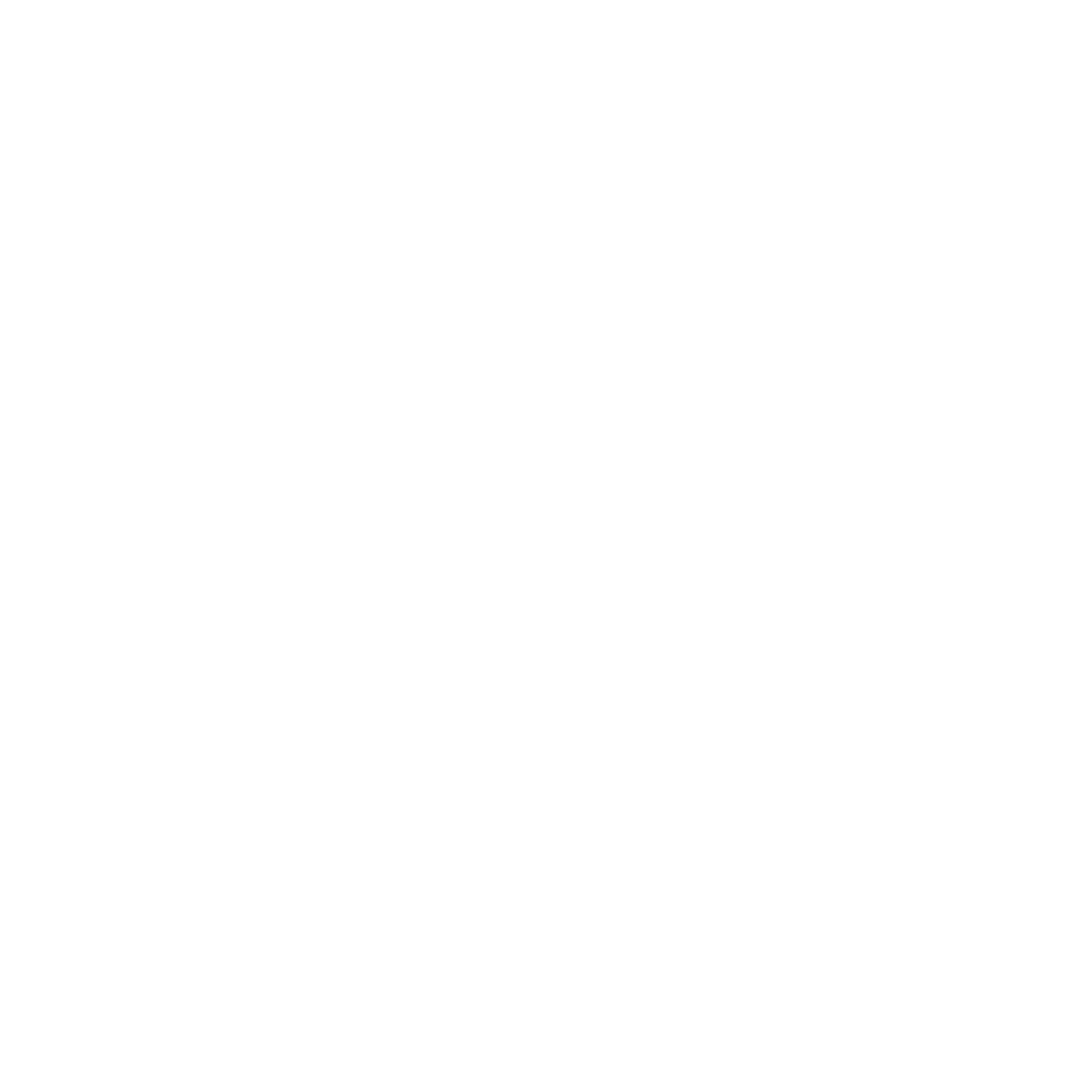 OWN BOSS