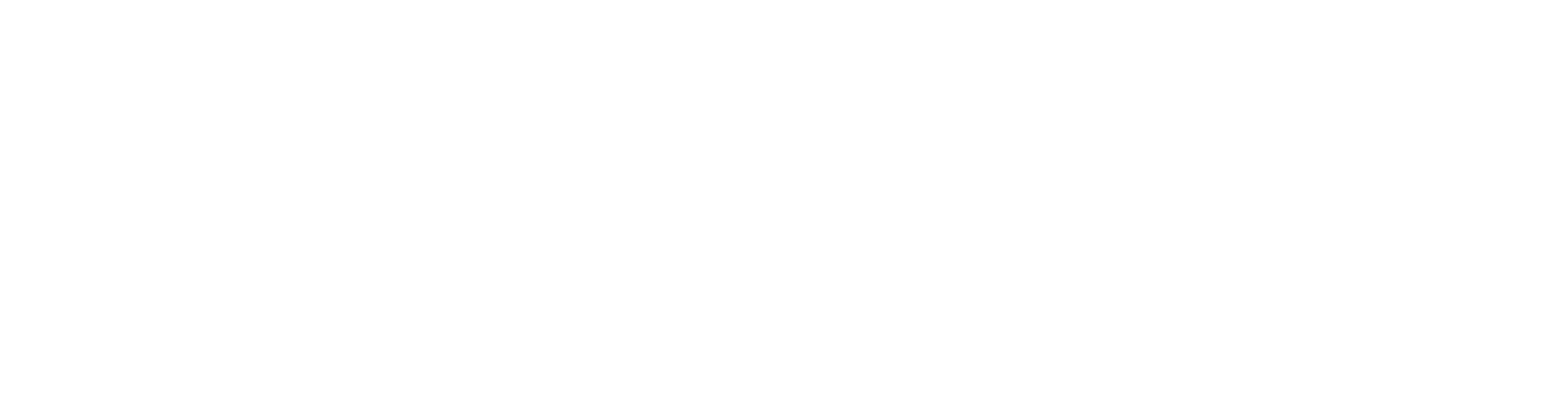 bushirt